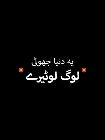 Ya Dunya Hoodie